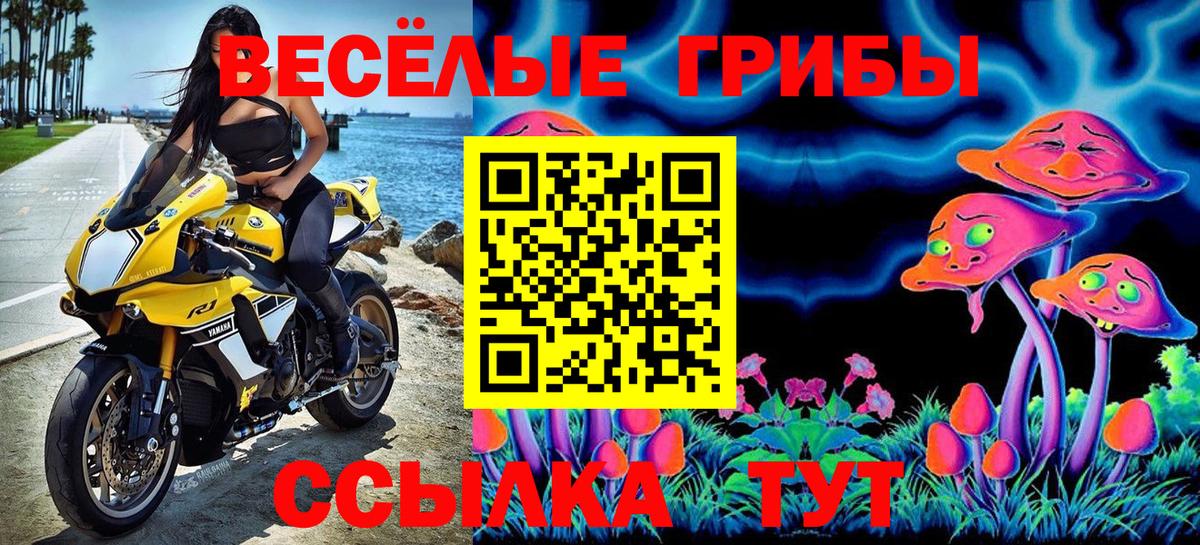 Псилоцибиновые грибы GOLDEN TEACHER  Вход с VPN  Грязи 